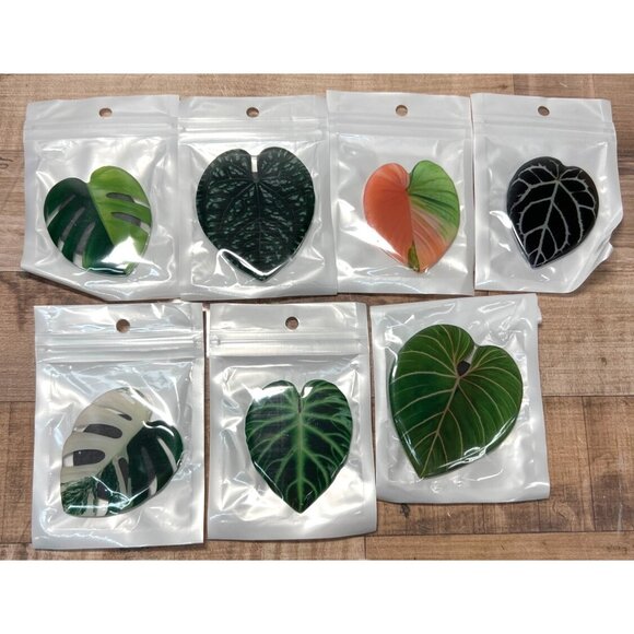 7-Piece Tropical Leaf Refrigerator Magnets Set - Picture 1 of 2